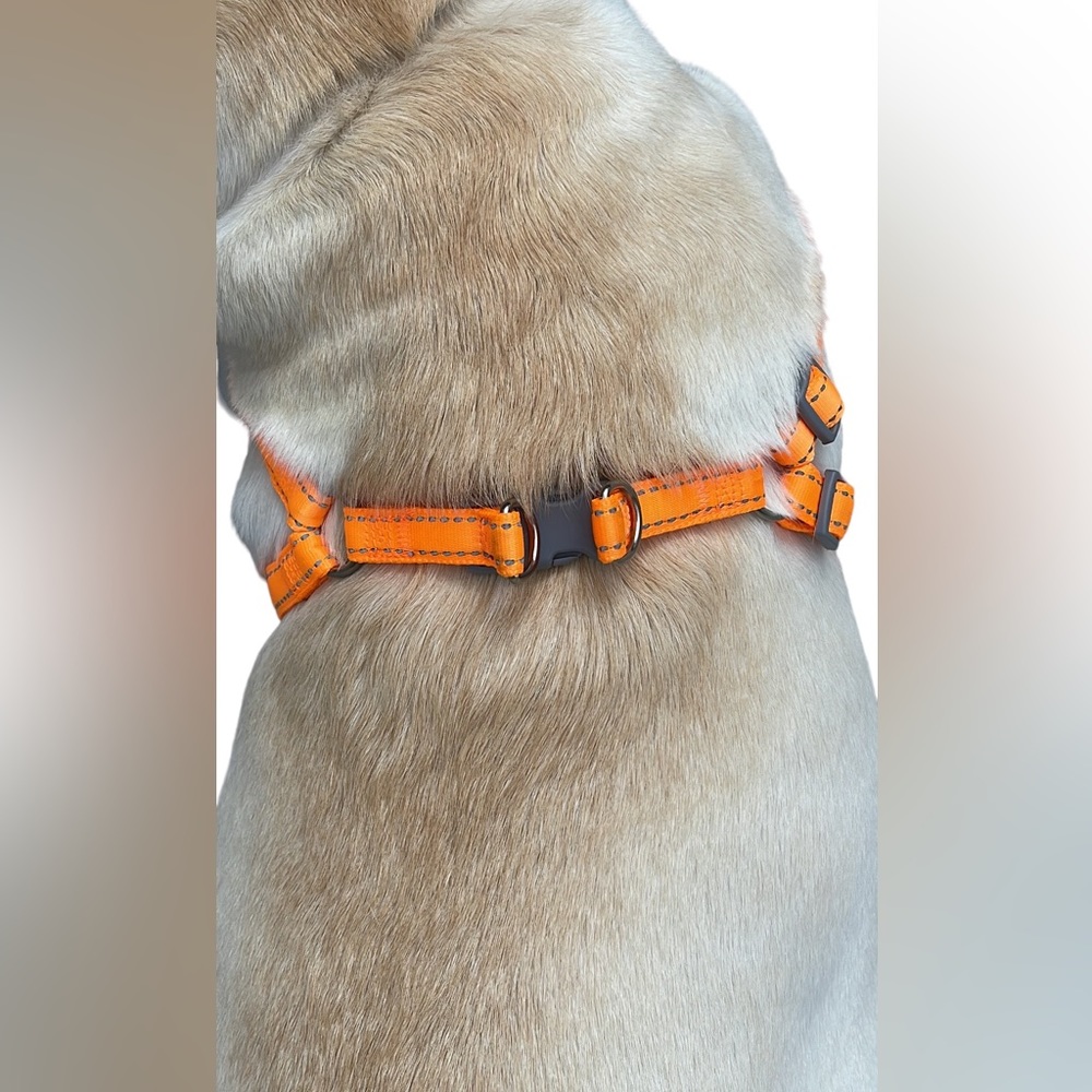 Large sport dog Harness 29” - Picture 7 of 9